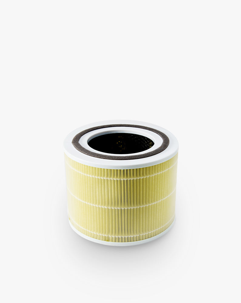 Official Levoit UK product photograph of Core 300 and Core 300S pet allergy filter for the UK, exact reference HEACAFLVNUK0107Y